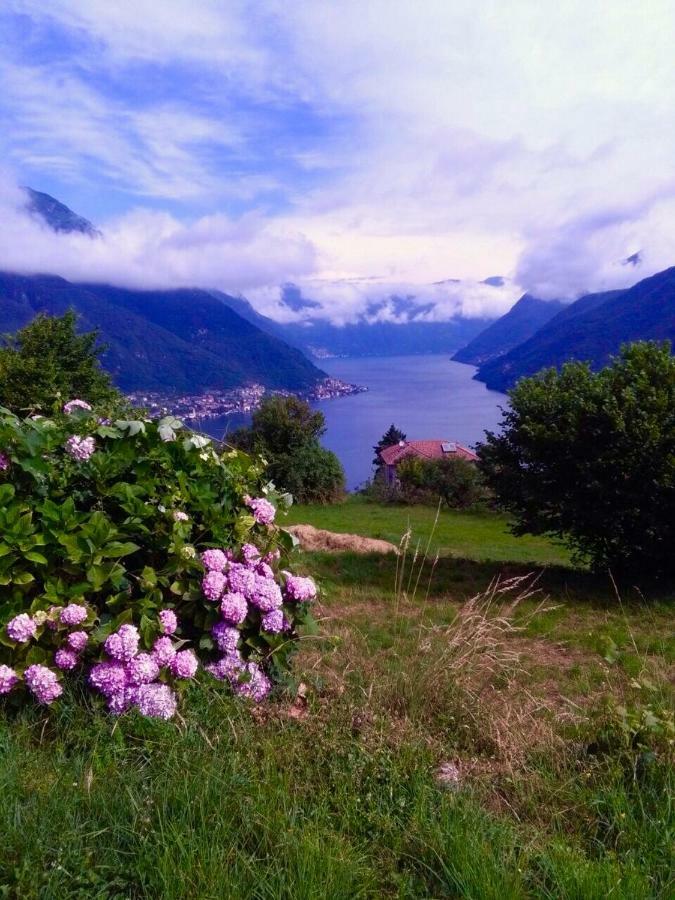 Holiday Home Liliana Faggeto Lario Екстериор снимка